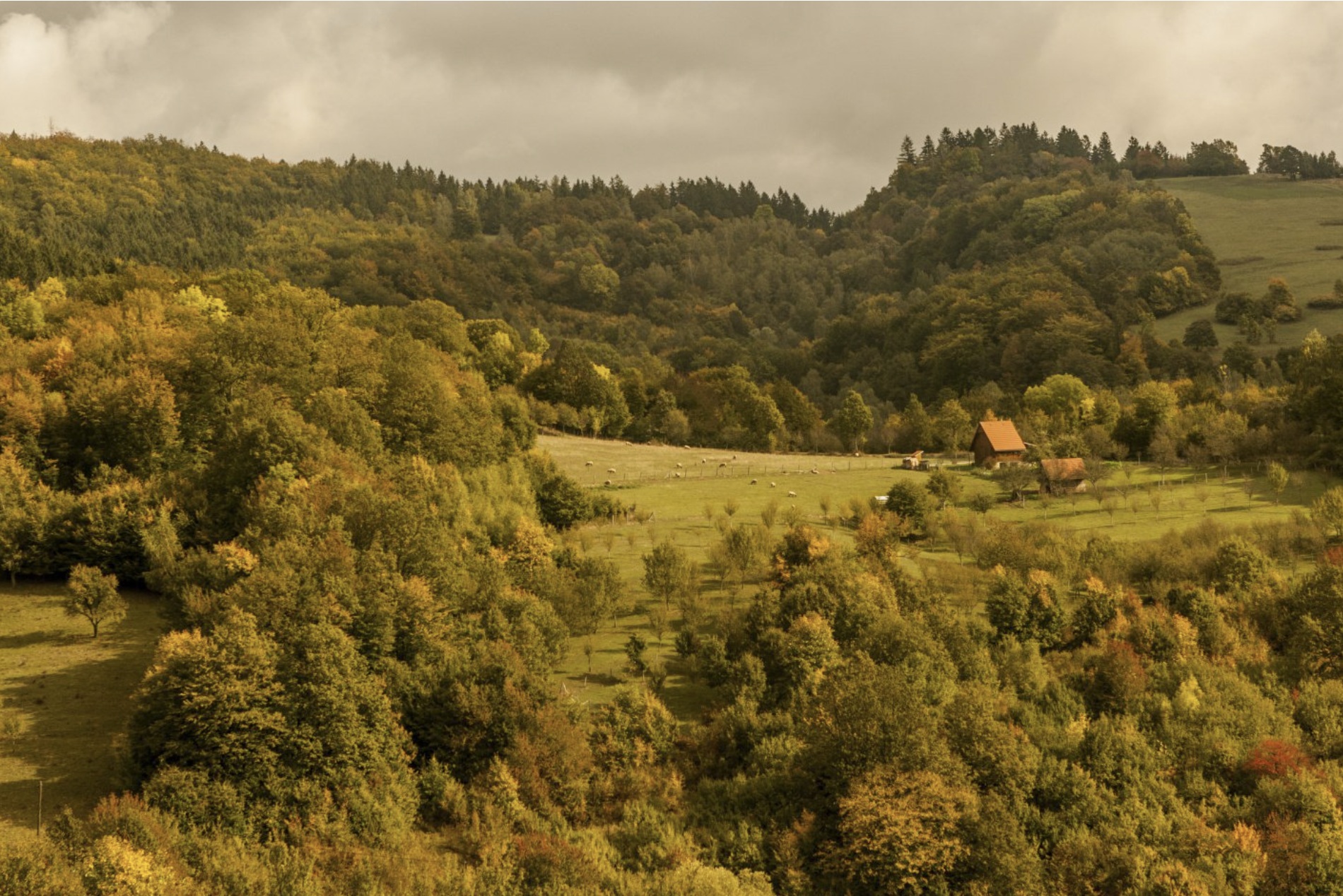 Zlínsko a Luhačovicko Zlínsko a Luhačovicko